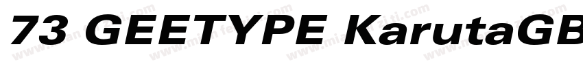 73 GEETYPE KarutaGB Flash Black字体转换